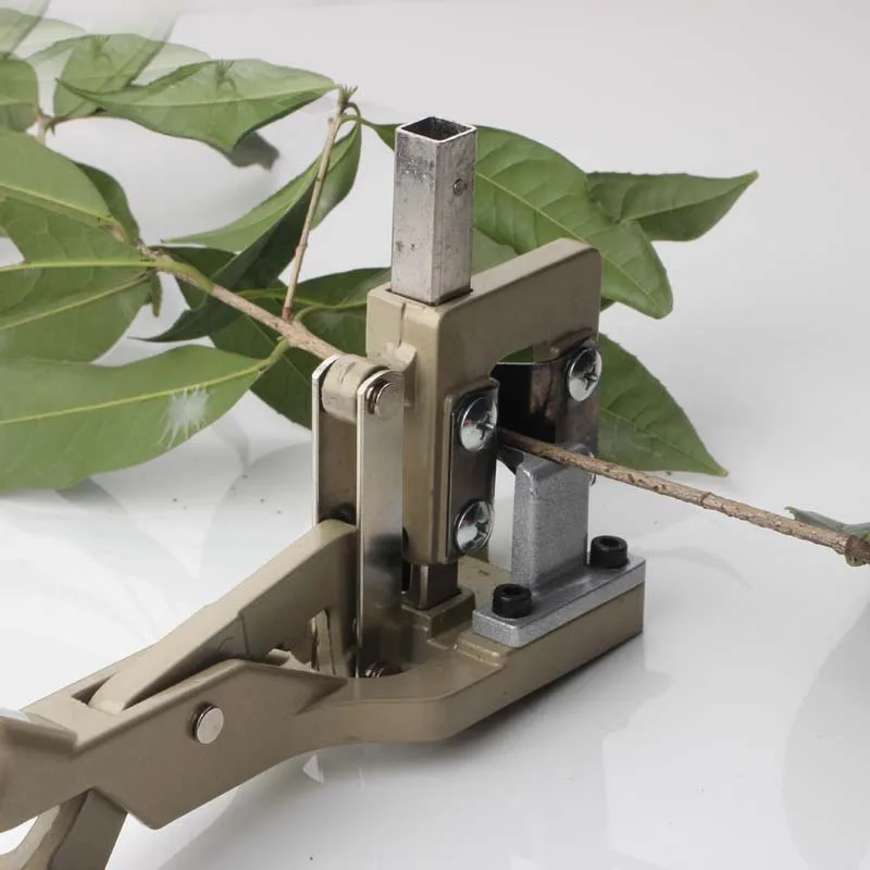 Toplionace Cesoie Da Potatura Ad Alta Quota Taglierina Per Alberi - Foto 8