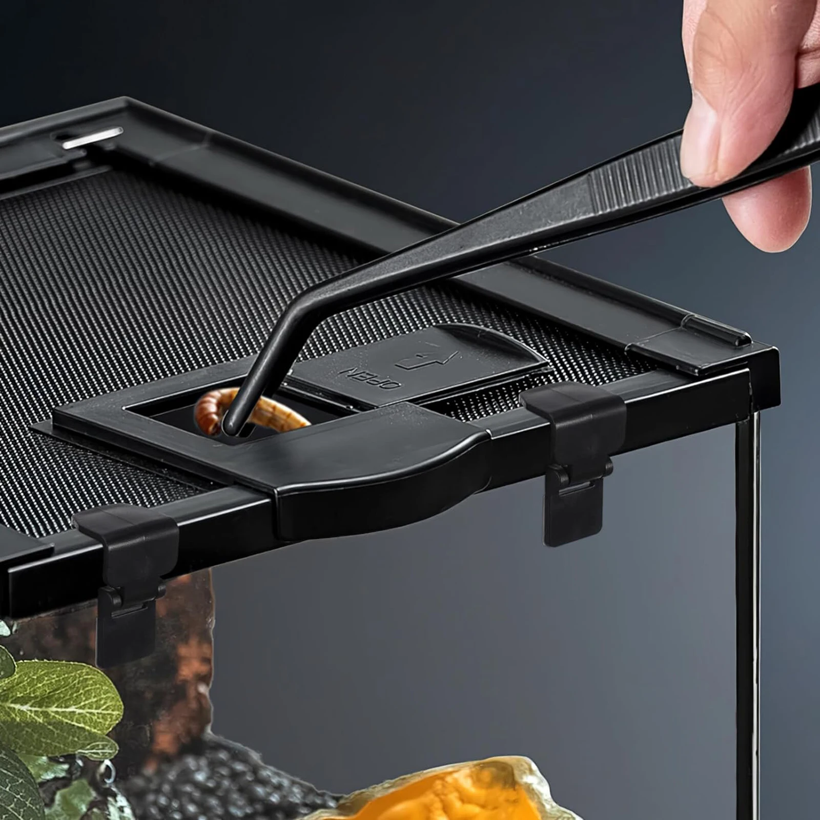 2Pcs Terrarium Locks Aquarium Lid Clips Reptile Box Latch Amphibious Breeding for Turtle Living Box Reptile Tank
