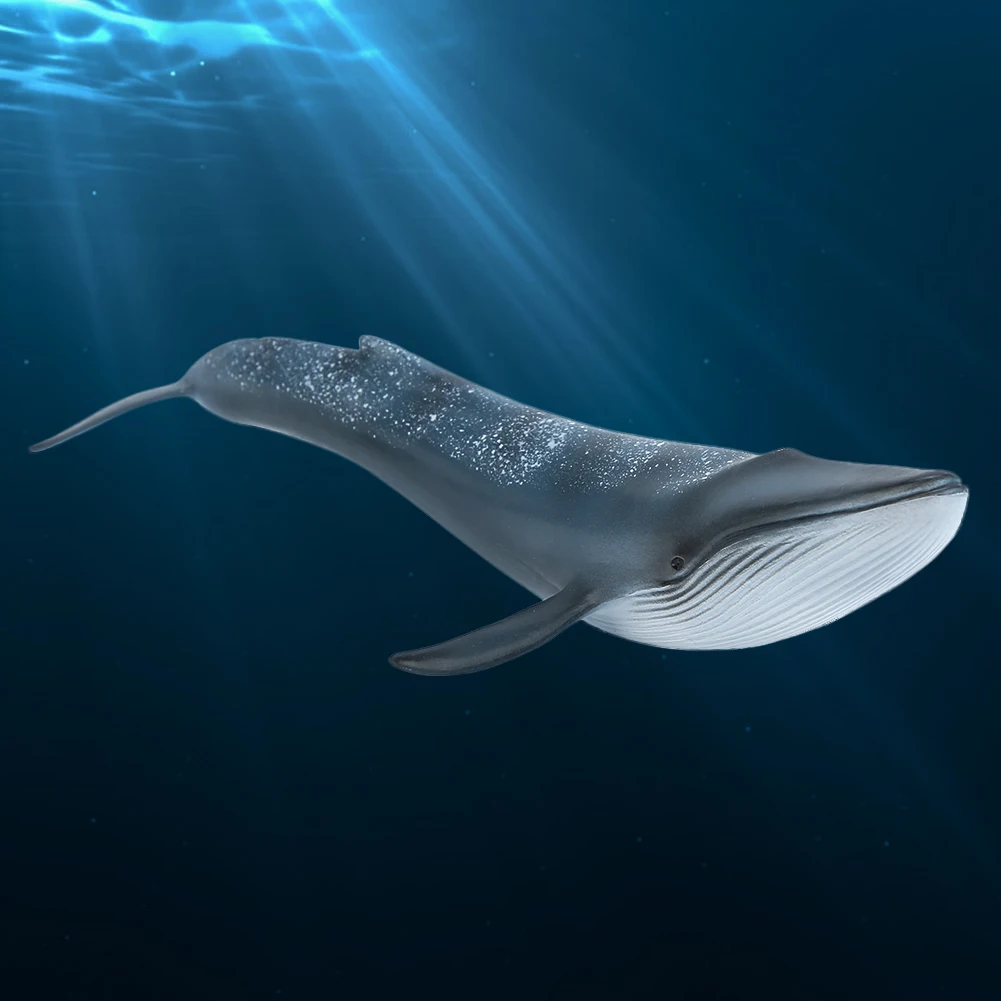 Simulation Whale Miniature Animal Toy Collection Figurine Home Decor Ornament