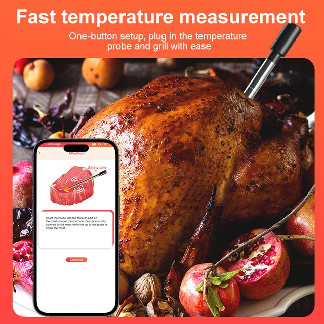 Oven Thermometer Digital Wireless Meat BBQ Cooking Food Thermometer With  Temperature Sensor for Indoor Outdoor Kitchen Grill - AliExpress