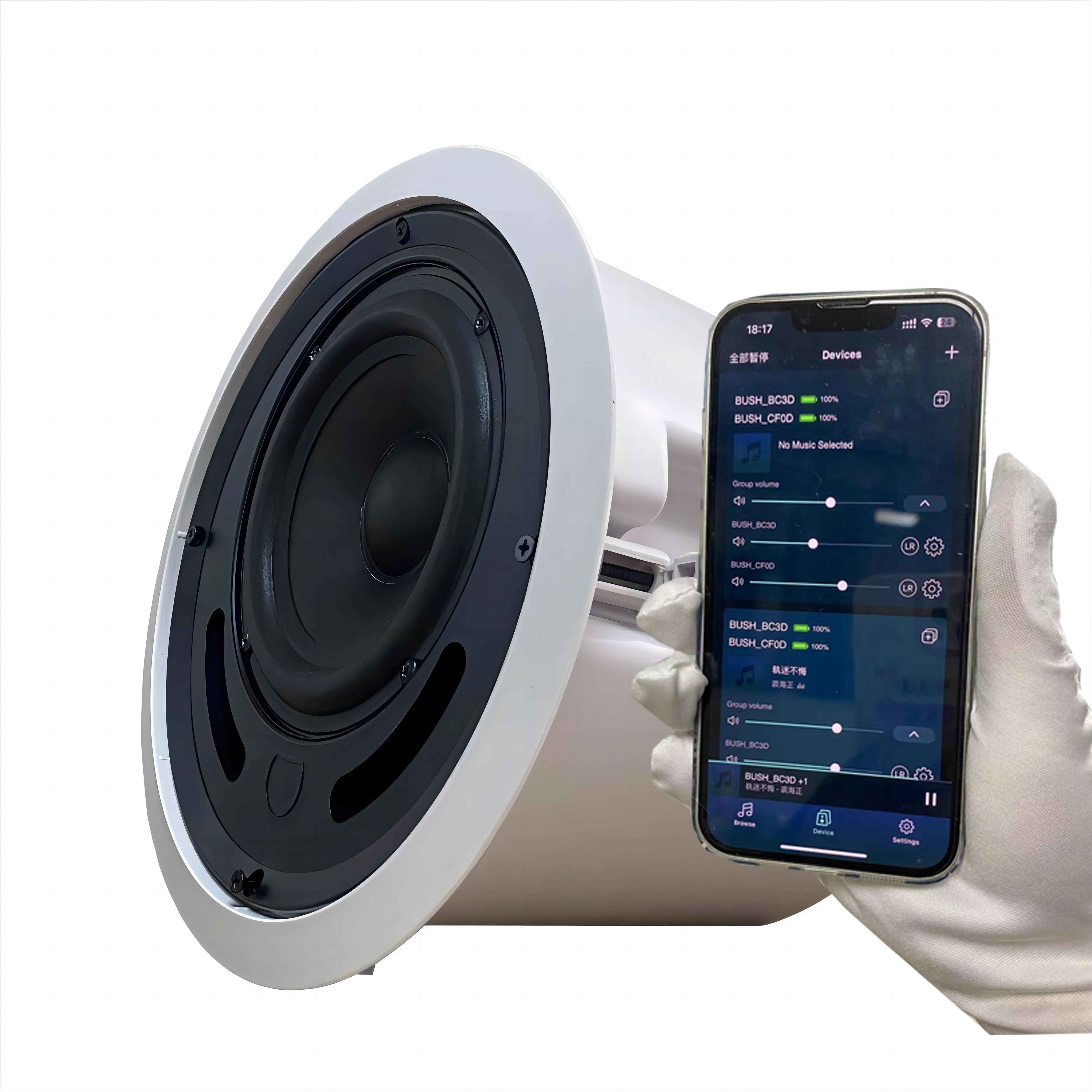 

Multi-channel and multi-room speakers For Home theater 5.1/7.1 ceiling speaker WIFI Bluetooth system