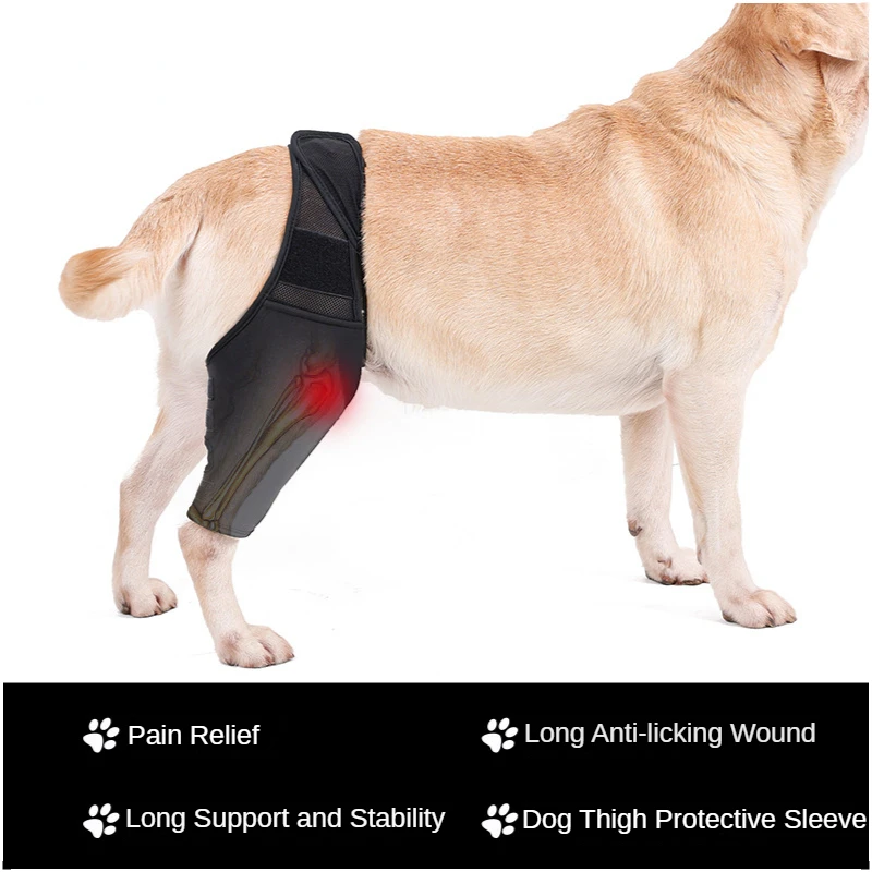 Pet Leg Injury Fixed Protective Gear Disabled Dog Leg Auxiliary Belt Small and Medium-sized Dog Postoperative Protective Cover