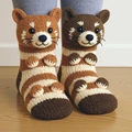 Raccoon