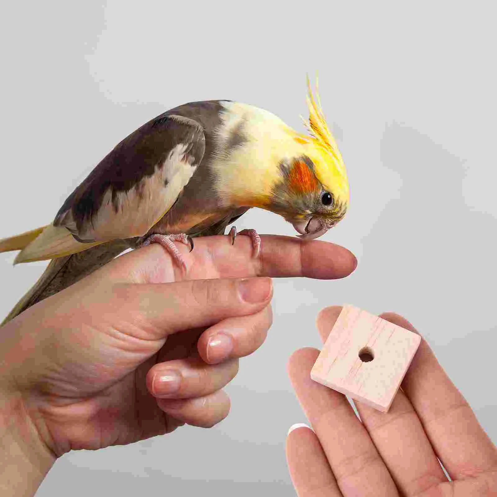 100 Pcs Parrot Chewing Toy Wooden Blocks Bird Cage Climbing Toys Foraging Hanging Cockatoo Biting Macaw Cockatiel 2