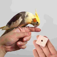 100 Pcs Parrot Chewing Toy Wooden Blocks Bird Cage Climbing Toys Foraging Hanging Cockatoo Biting Macaw Cockatiel 2