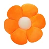 Orange3 Pillow