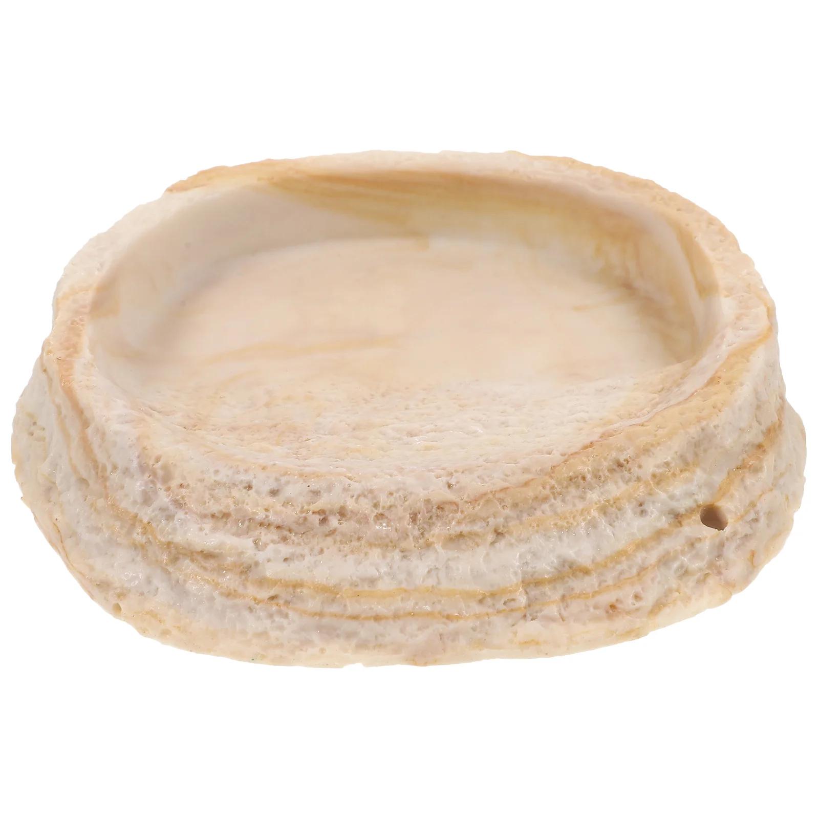 

Reptile Food Water Bowl Turtle Tank Feeder Resin Food Container Reptile Water Bowl for Lizard Tortoise
