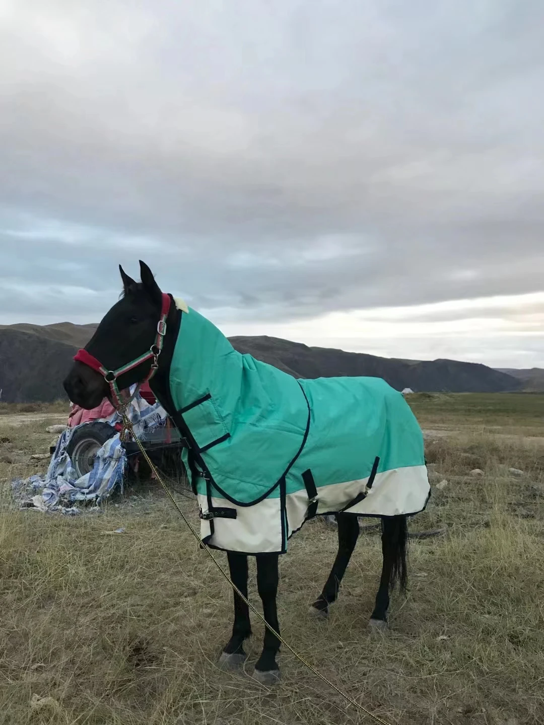 Winter Waterproof Breathable Non-Stuffy Sweat Cotton Horse Clothes Freeze-Resistant Windproof Warm Tear-Resistant 말 용품