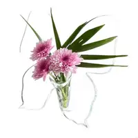X90F Clear Acrylic Butterfly Frame Flower Vases with Stable Base for Table Book Shelf 1