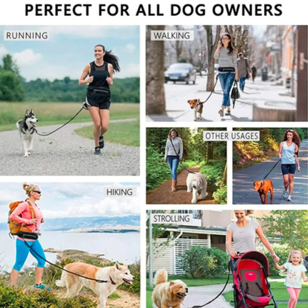 Hands Free Dog Leash for Running Walking Reflective Leash with Waist Bag Retractable Elastic Belt Dog Traction Rope Pet Products