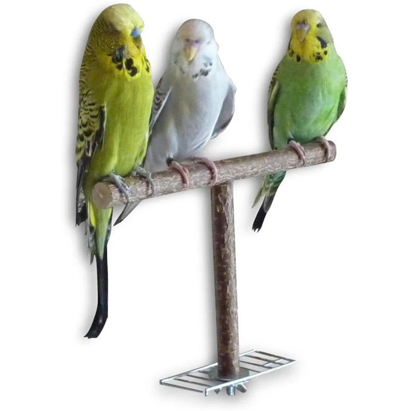 Pappagallo gonfiabile, 4 pezzi, decorazione per piscina, pappagallo