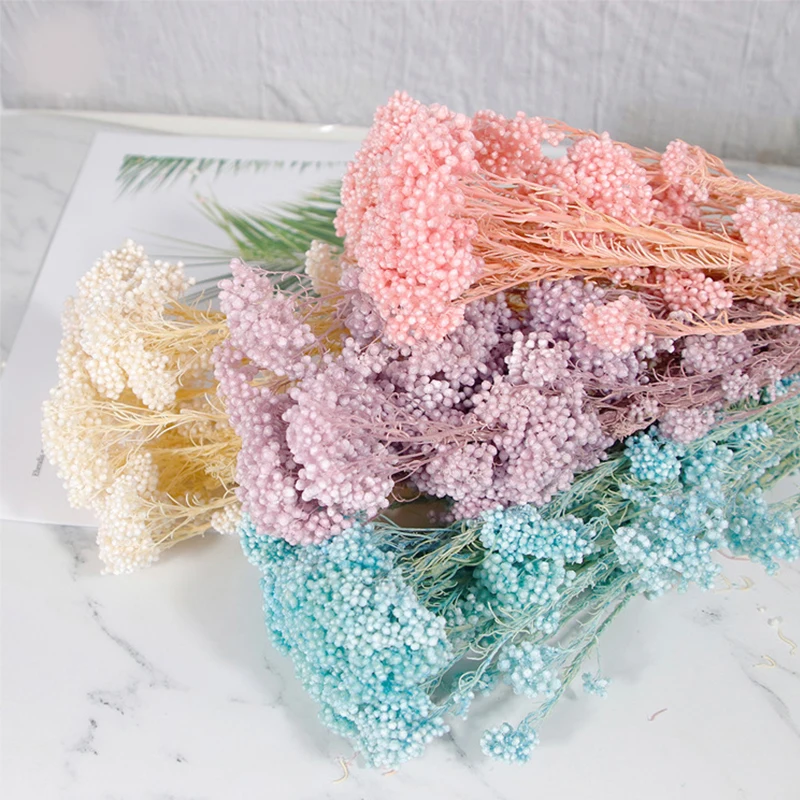 50gEternalDryRiceFlowerMilletFlowersHeadsDIYHomeWedding