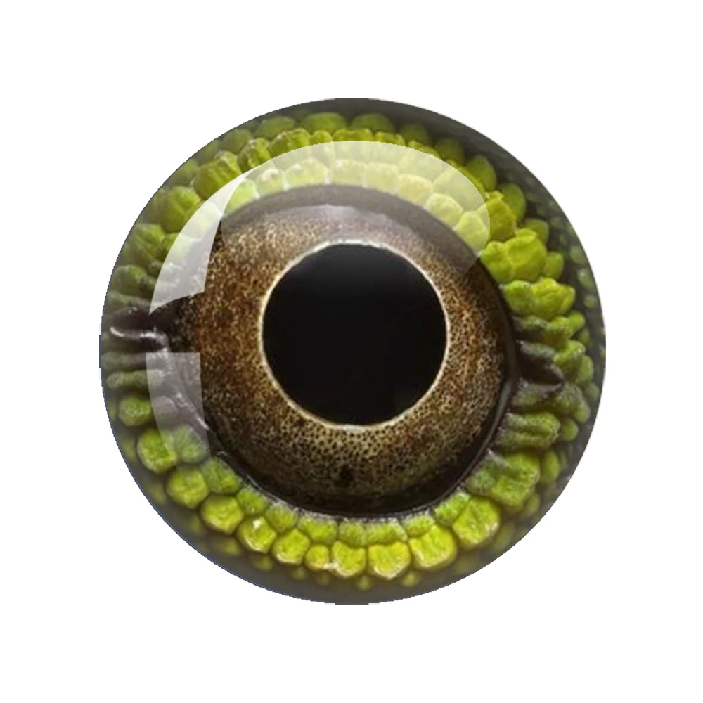 thumbnail image 1 of Cabujón de cristal con forma de ojo de dragón en pares, 12 mm, 16 mm, 18 mm, 20 mm y 25 mm, redondo, para fotografía, con parte trasera plana, 1 of 5