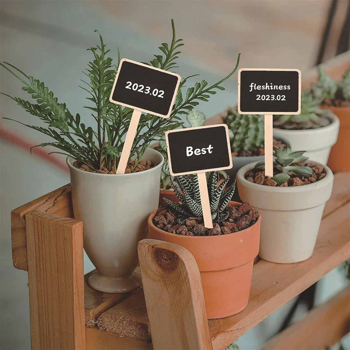 10pcs-creative blackboard flower gardening succulent plant label decor card accessories small blackboard Valentine's Day pa
