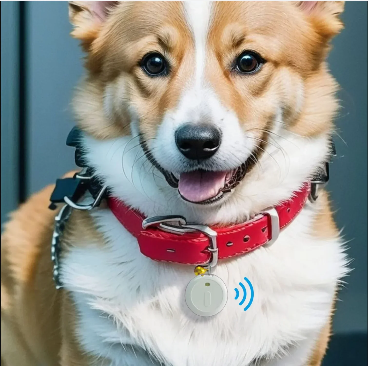 GPS Tracker Real-Time Location FI tag for Dogs & Cats android iphone working Waterproof Outdoor Pets