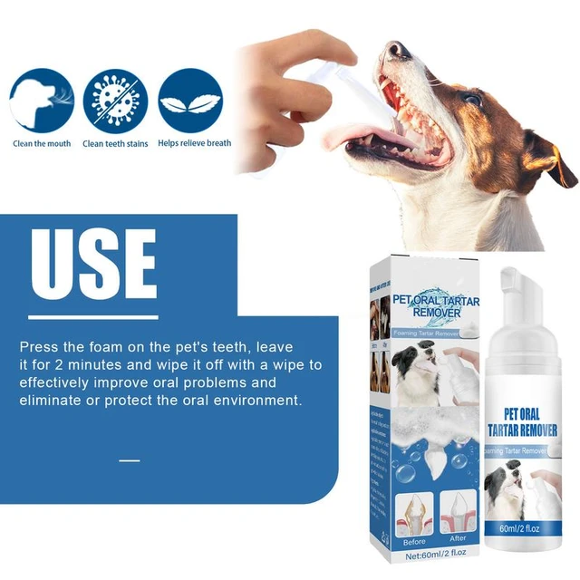 Does Dog Teeth Cleaning Help Bad Breath
