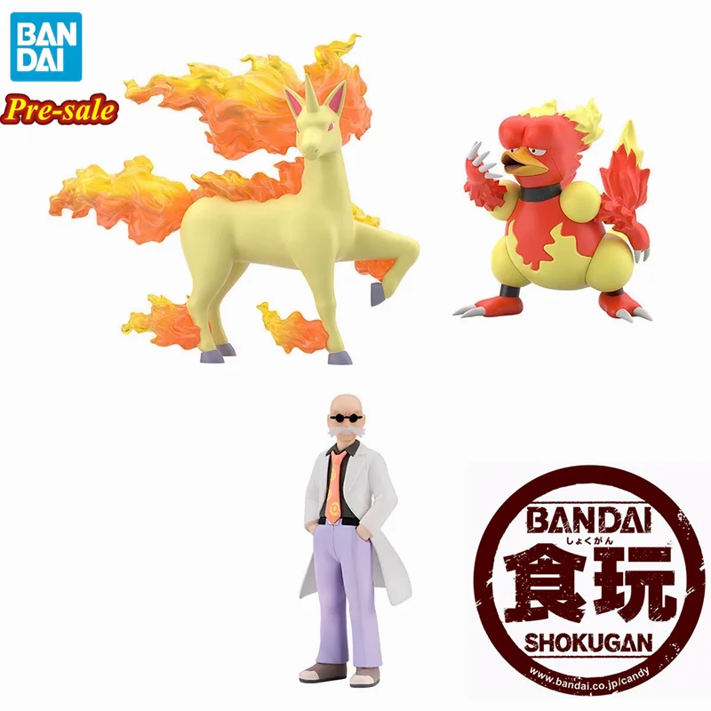Original Bandai Pokragon Scale World Kanto Region Katsura Rapidash Magmar Anime Figure Candy Toys Pocket Monster Pvc Model Gift