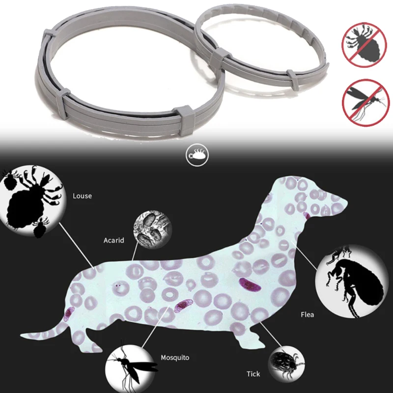 Pet Flea And Tick Repellent Collar For Dog Cats 8 Month Flea & Tick Prevention Collar Anti Flea
