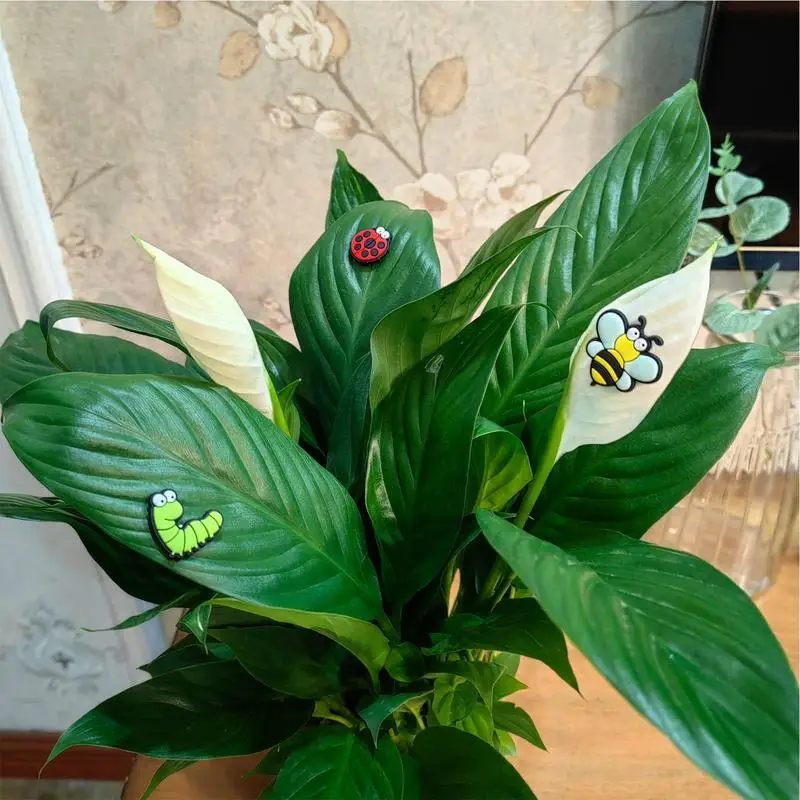 Magnetic Plant Eyes 6PCS Cute Plant Safe Magnets Decor Indoor Accessories Mini Magnets For Cabinet Refrigerator Whiteboard