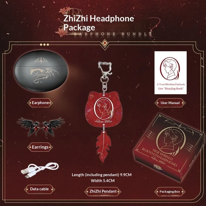 Headphone Earrings