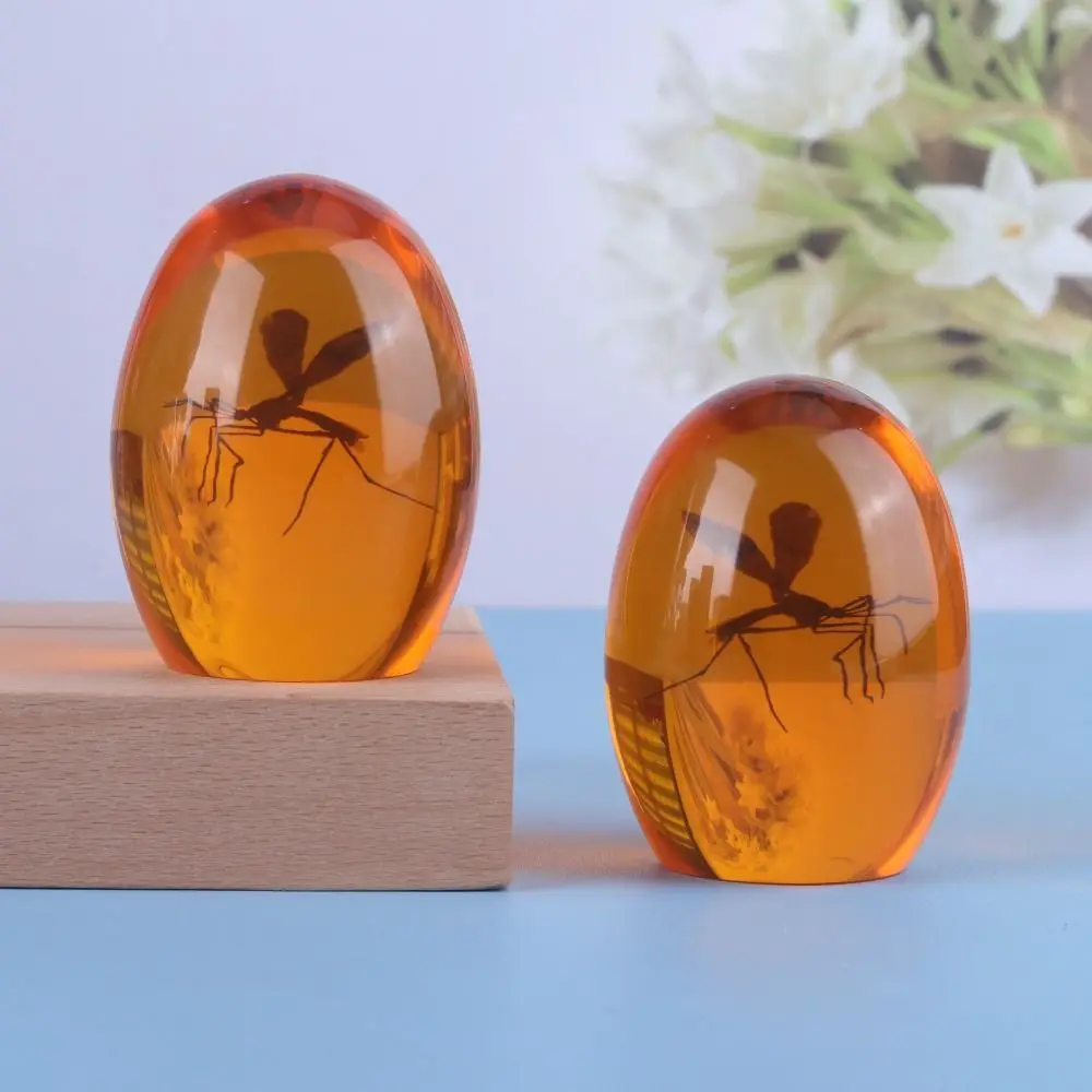 3D Mosquito Amber Collection Paperweight ,Unique Design Realistic Flat Bottom Shaped Paper Weight for Home Desk Decor Ornament