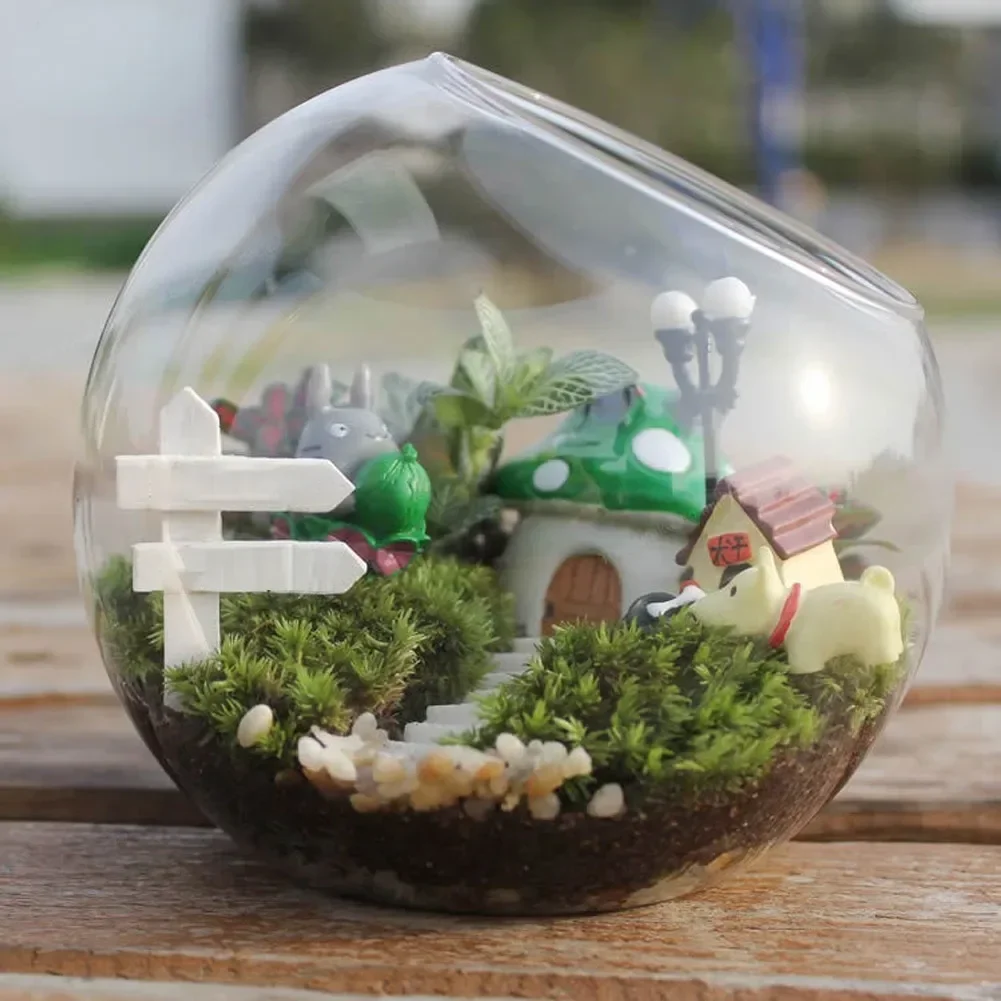 Hydroponic Plant Glass Vase Borosilicate Glass Bottle Succulent Plant Terrarium Container Flower Pots Home Wedding Decor 6