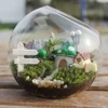 Hydroponic Plant Glass Vase Borosilicate Glass Bottle Succulent Plant Terrarium Container Flower Pots Home Wedding Decor 6