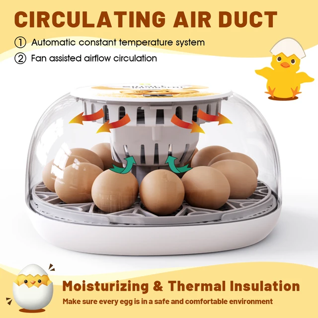 12 Eggs Incubator for Hatching Eggs with Automatic Egg Turner, Temperature Control, Automatic Water Adding for Hatching Chicken,