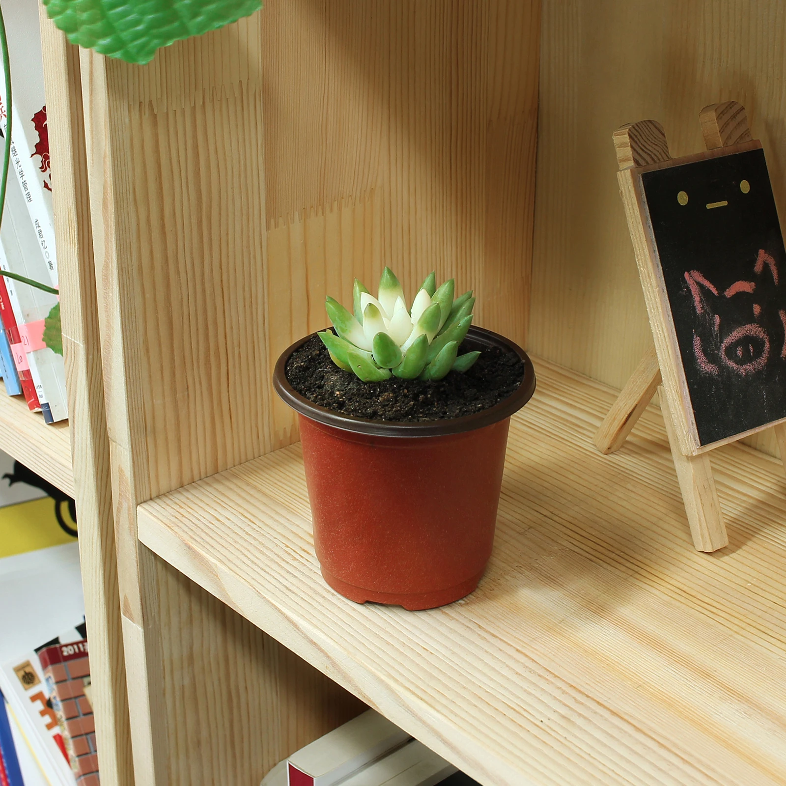 Dual Color Plastic Flowerpot 100Pcs for Garden Nursery Pots Flowerpot Seedlings Planter Containers flower pot,plant pot