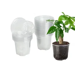 30 Clear Plastic Planters with Humidity Domes and Drainage Holes (Clear)