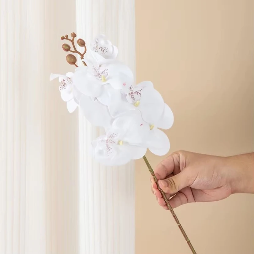 Slide image ff2eec4493d44259a24a06da6d50be7c