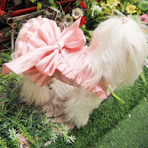 Kedvtelésből Tartott Kutya Ruhák Tavaszi Kutya Esküvői Ruha Tutu Chihuahua Yorkshire Terrier Uszkár Pomerániai Schnauzer Walesi Corgi Ruházat