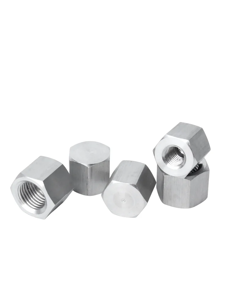M8 M10 M12 - M60 1/8인치 1/4인치 3/8인치 1/2인치 3/4인치 1인치 2인치 G PT NPT 304 스테인리스 스틸 암나사 고압 배관 부속품