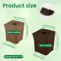 A 50Pcs sponge
