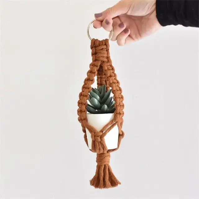 Air Plant Holder 02
