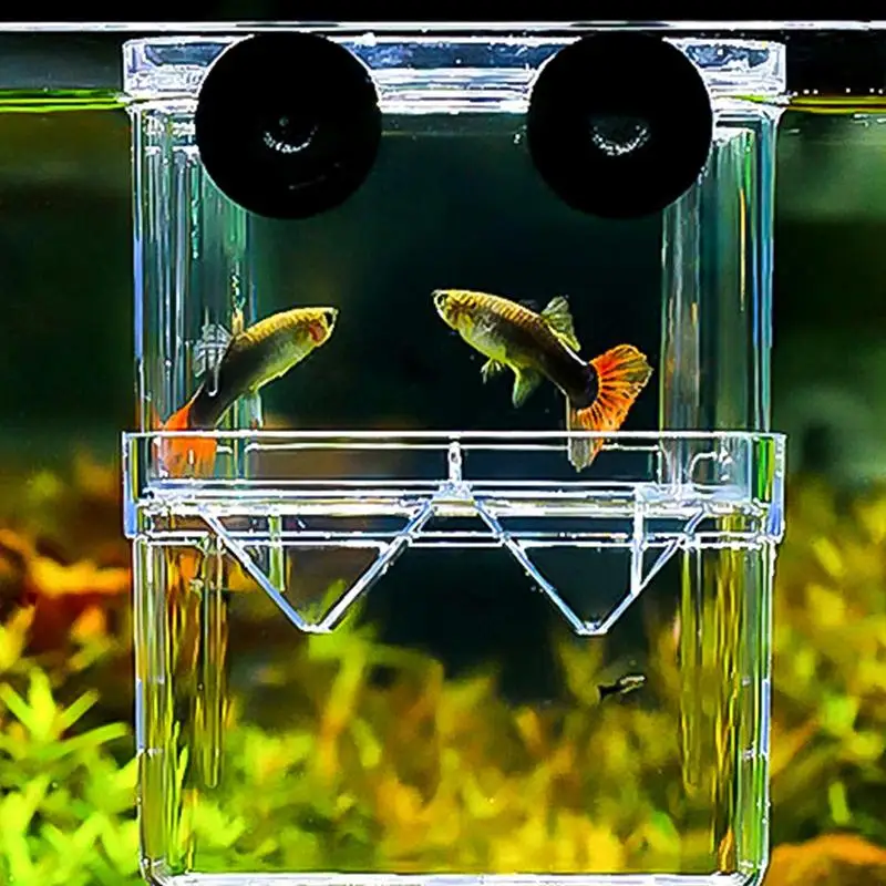Fish Breeding Box Aquarium Fish breeding Box Durable Fish tank guppy breeding isolation box Clear Hatching Incubator For Baby Shrimp