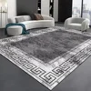 Nordic Modern High-end Living Room Carpet Luxury Grey Home Decoration Bedroom Large Area Rugs Elastic Washable Non-slip Door Mat 1