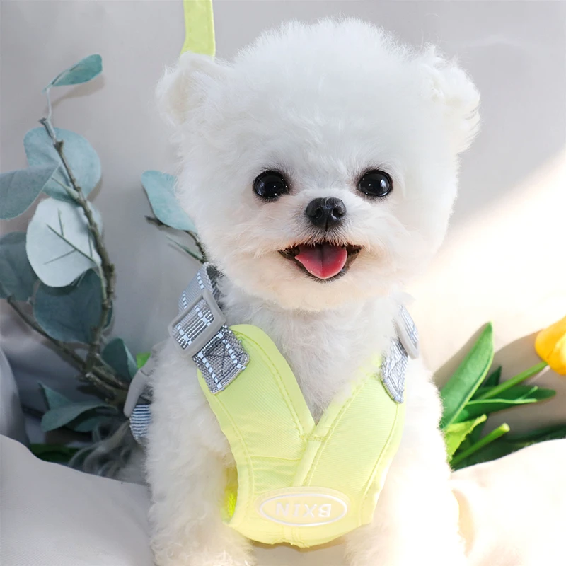 단색 개 목줄 테디 가슴 캐리어, 중형 소형견 산책 목줄, 비숑 프리즈 강아지 조끼 스타일