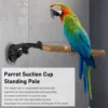 Wood Parrot Perch Prevent Slip Interactive Bird Window Perch Stand With Suction Cups For Small Medium Bird 4