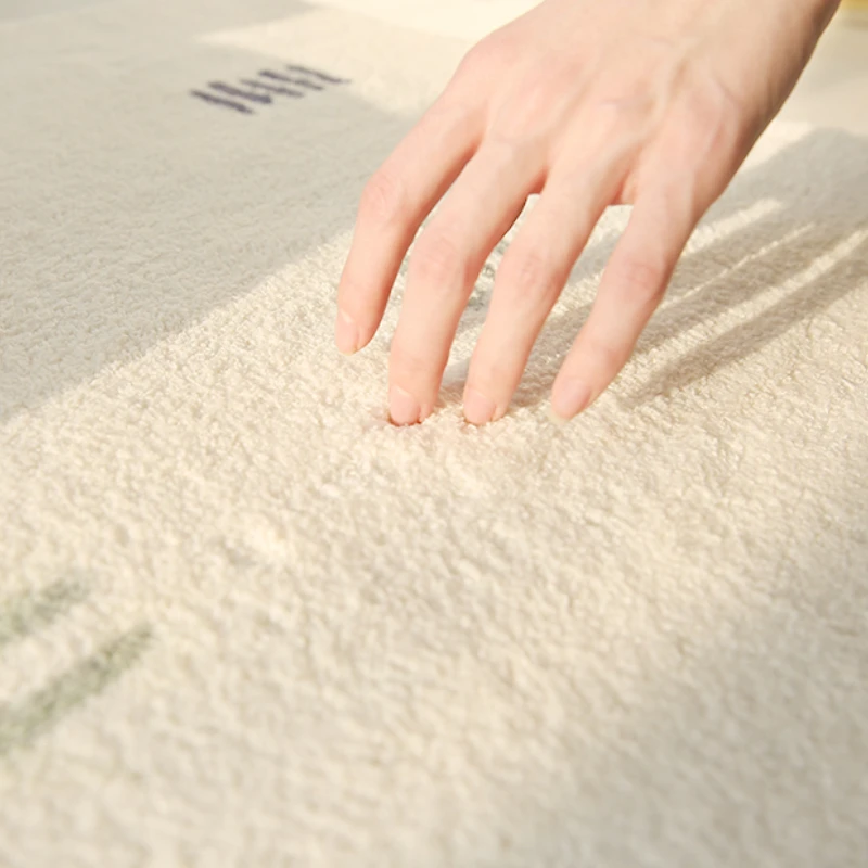 Cream Style Bedroom Decor Plush Carpet Large Area Carpets for Living Room Thickend Washable Cloakroom Rug Fluffy Soft Lounge Mat 5