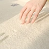 Cream Style Bedroom Decor Plush Carpet Large Area Carpets for Living Room Thickend Washable Cloakroom Rug Fluffy Soft Lounge Mat 5
