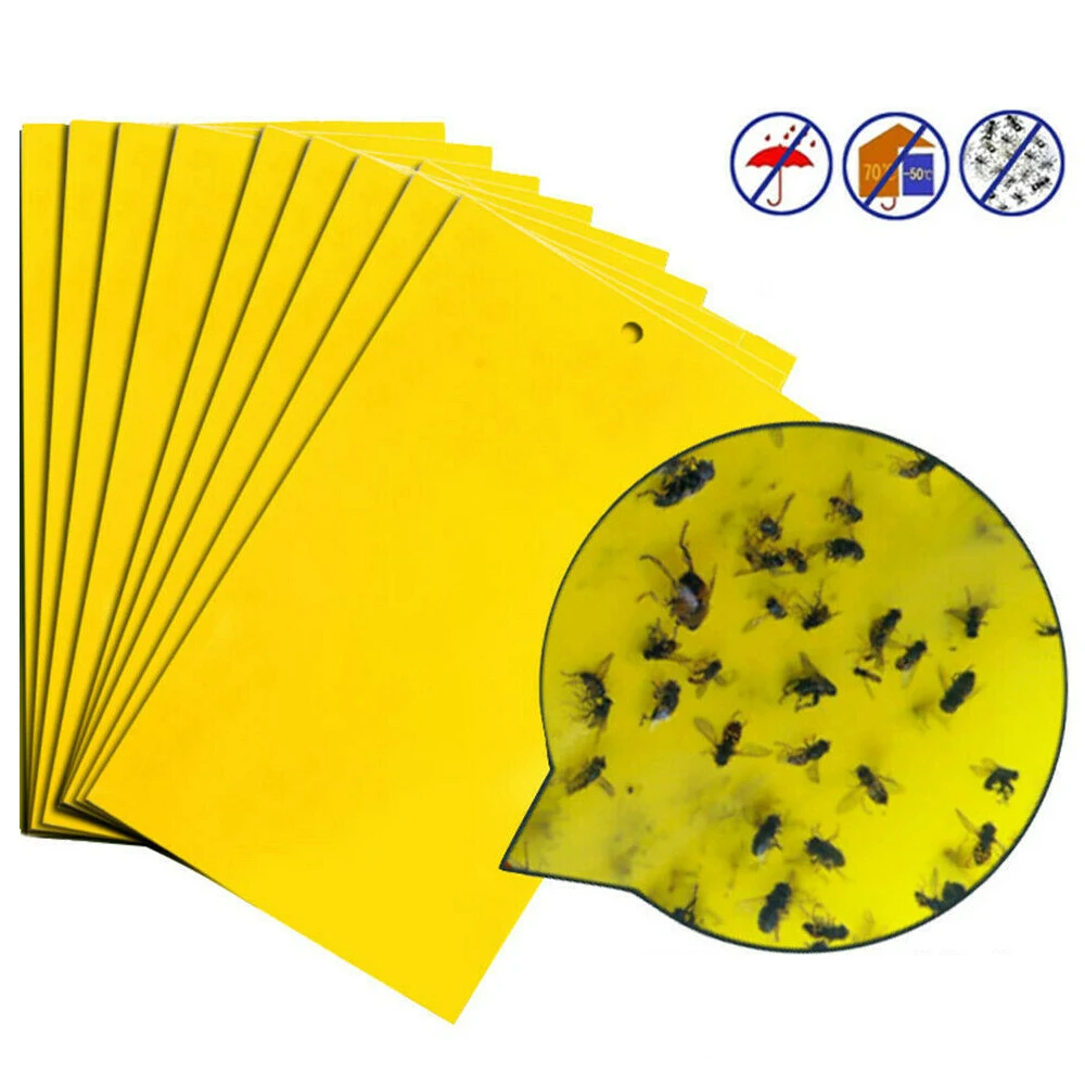 10/20 Pz Double Sided Sticky Insect Trap Mosquito Fly Fly Trap Outdoor Scarafaggio Killer Trappola Per Topi Pianta Da Giardino Anti Fly Bird Repeller