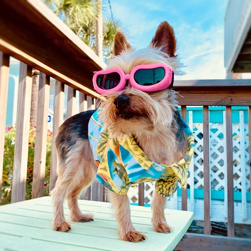 Title 2, Fashion Small Dog Sunglasses UV Protection Gogg...