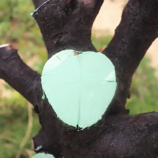 Fa Sebtömítő 250 G Seb Metsző Tömítés Kefével Bonsai Sebgyógyító Szer Növény Metszés Gyógyító Paszta Fák Oltás - Image 2