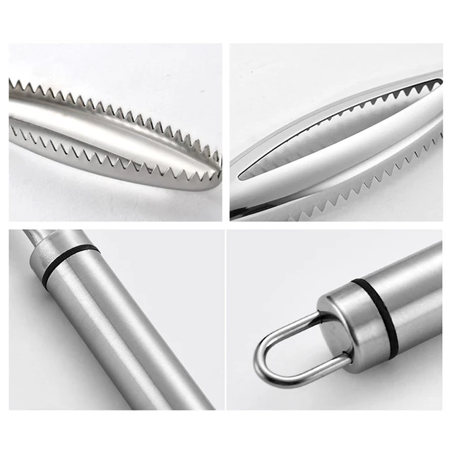Efficient Fish Scale Remover Stainless Fish Cleaning Tool Fish Scale Remover Fish Skin Brush Scraping Scale Peeler Kitchen tools 4