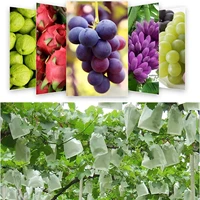 100/50Pcs Garden Fruit Protection Bags Non-woven Fabric Grape Protection Bags Anti-bird Insect Barrier Pouch for Apple Vegetable 2