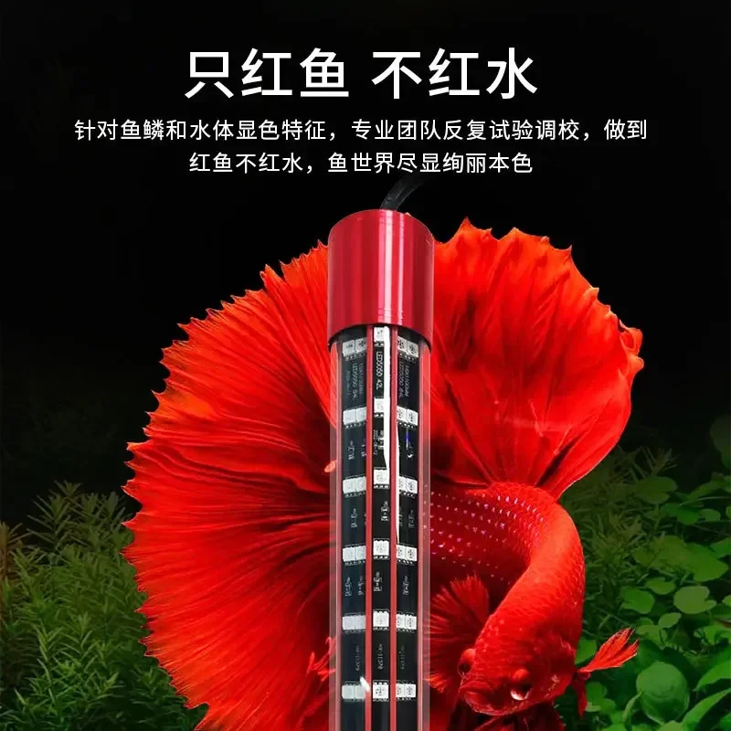 キ*ン様 Arowana Magical Light Series キ*ン様 Arowana Magical Light Series Arowana Special New