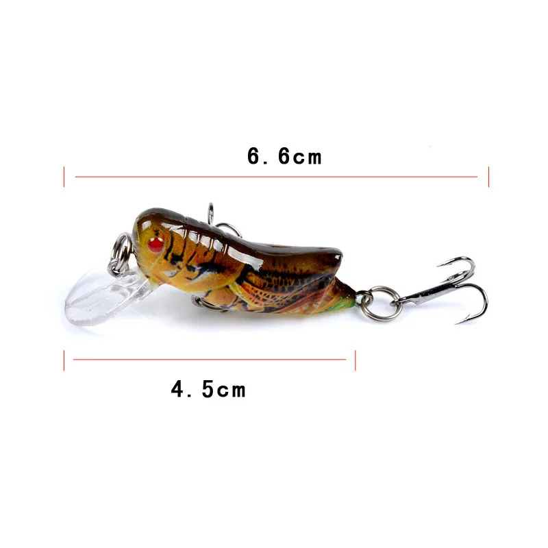 1pc Insect Bionic Fishing Lure 45mm 3.5g Grasshopper Minnow Hard Baits  Squid Artificial Swimbaits Bass Carp Pike Fishing Tackle - AliExpress