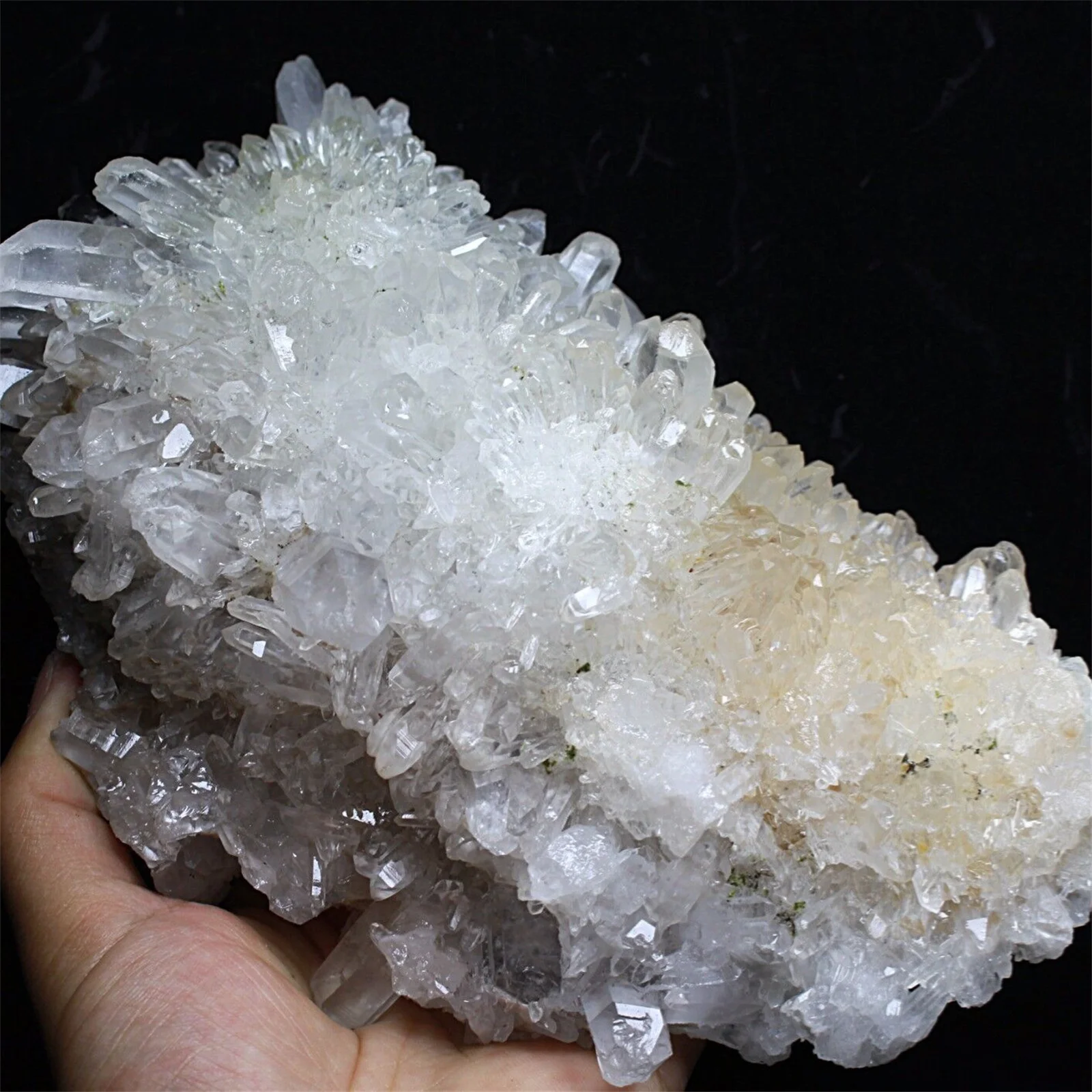 Newly Discovered Transparent Natural White Chrysanthemum Crystal Cluster Quartz Specimen 3