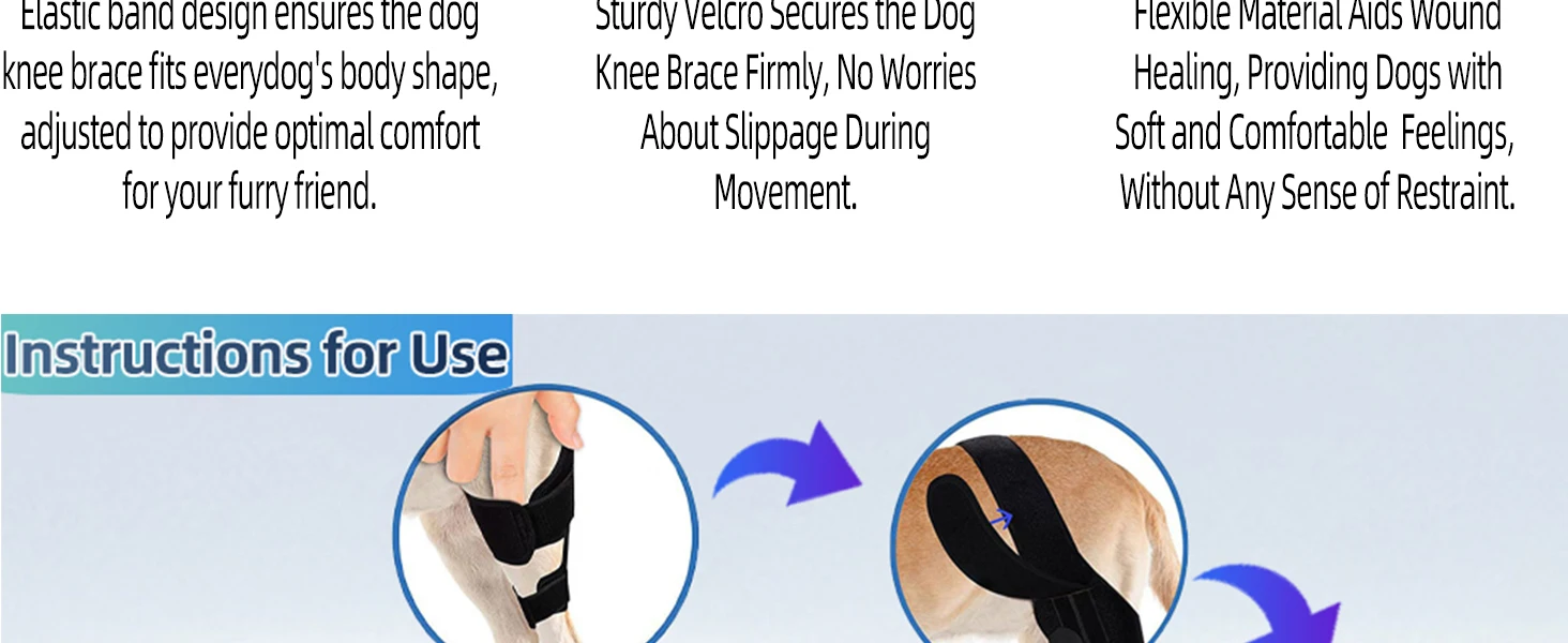 dog knee brace